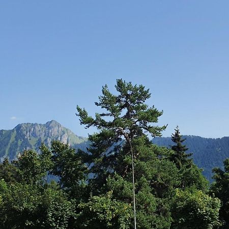 Heidi Apartman Leysin Kültér fotó