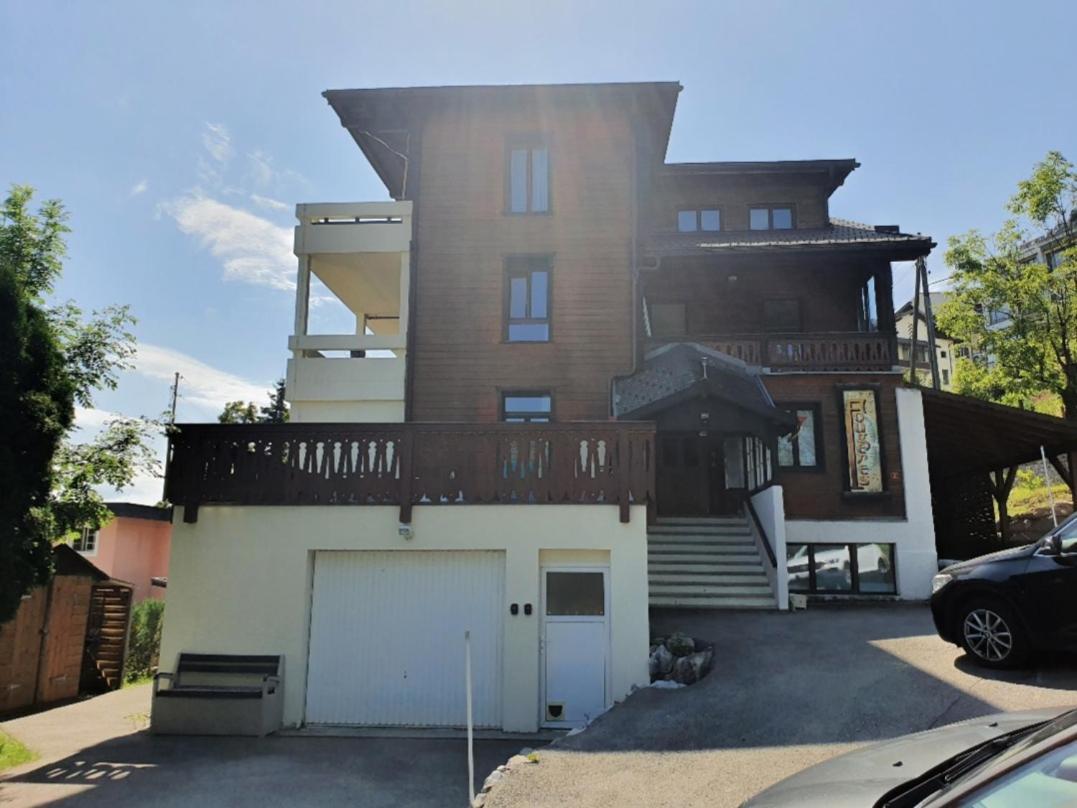Heidi Apartman Leysin Kültér fotó